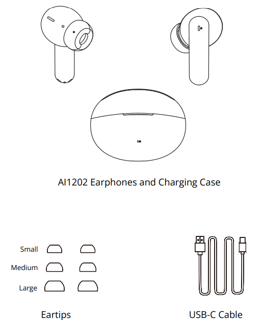 Aiwa Prodigy Clear Plus Earphones-WHAT’S INCLUDED